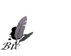 Image animee pour blog bienvenue welcome