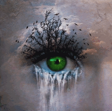 Oeil