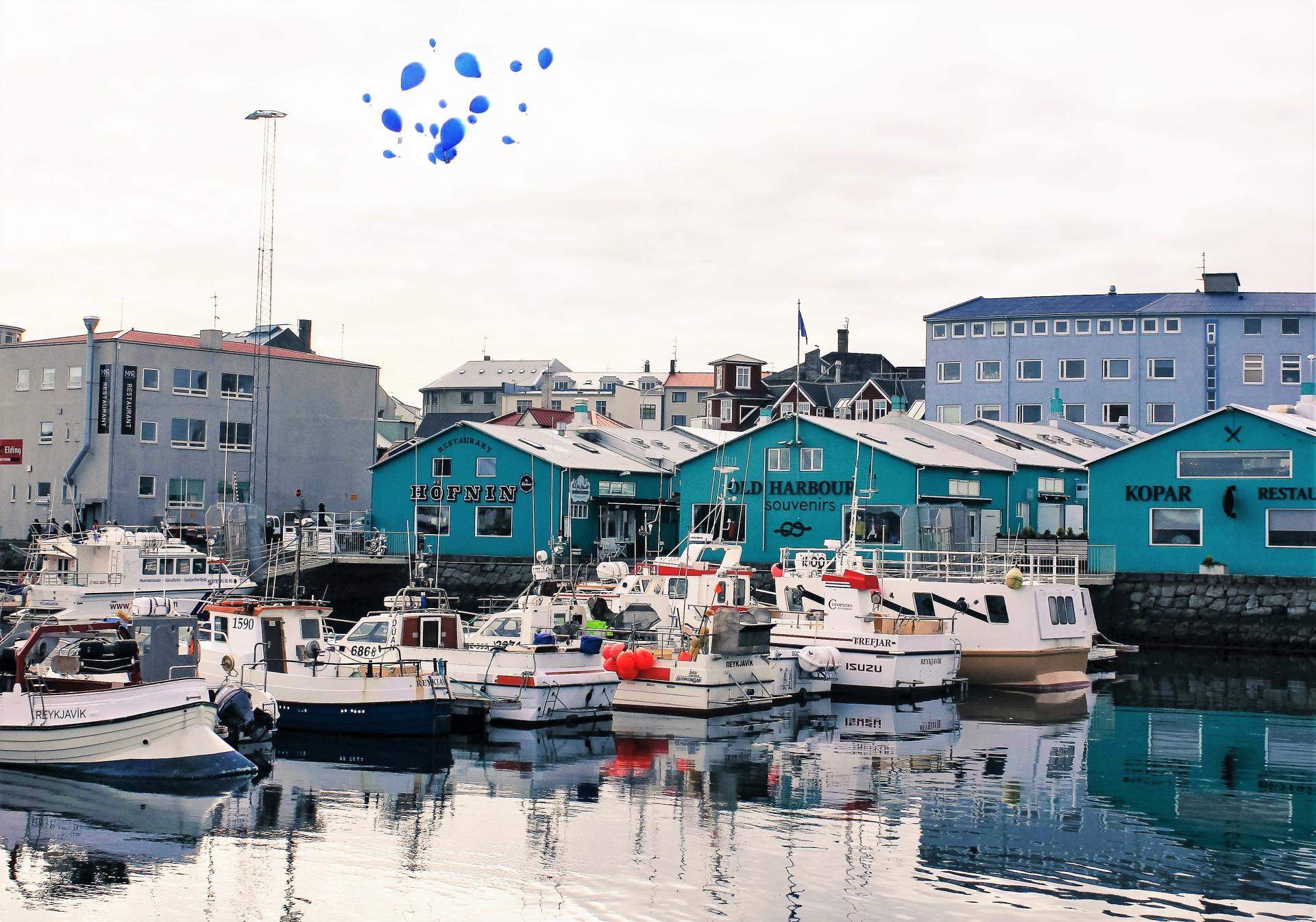 Reykjavik 3